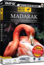 Madarak